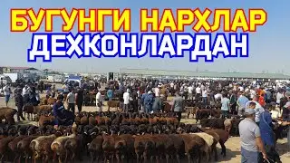 28.08.2024 СОВЛИК КУЙЛАР БОЗОРДА ТУЛИБ КЕТДИ КАРШИ КАРВОН МОЛ БОЗОРИДА