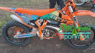 Ишимский "Марс"