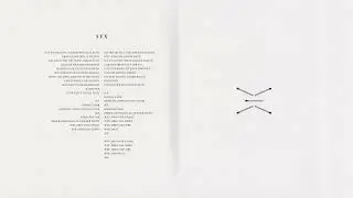 Rammstein - Sex (Instrumental)
