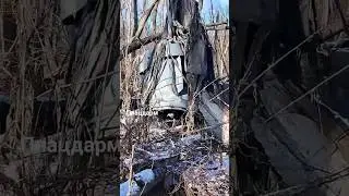 Пошук душ ... 