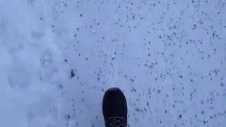 Soundscape: Footsteps in cold snow ❄️