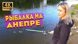 Рыбалка с фидером и удочкой на Днепре. Рыбалка в черте города Смоленска, на набережной. Фидер KAIDA.