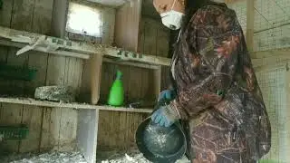 Pigeons# Мои голуби. Осенняя уборка в голубятне.