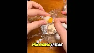 This Owner Saved a Broken Turtle Egg