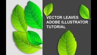 How to  create  vector leaves in Adobe illustrator tutorial