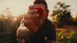 My digital to film color workflow in DaVinci.