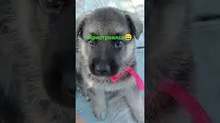 Детки гуляют😊