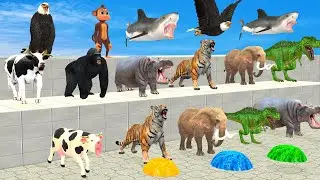 Cow Buffalo Gorilla Dinosaur Elephant Lion Animal Transform Race - Epic Race 3D