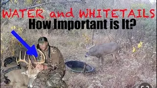Water Holes for Whitetails, where and why!