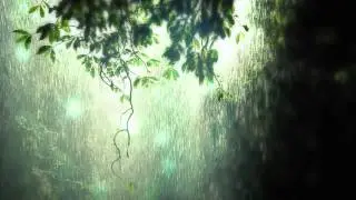 Rainy Dream - video designed by dreamscene.org