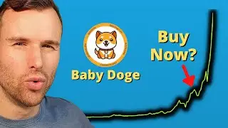Why BabyDoge Coin is up 🤩 Crypto Token Analysis