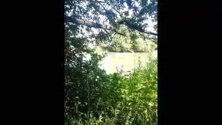 Thames path @ oxford in sunny August
