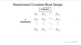 Randomized Complete Block Design