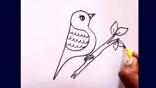 how to draw a cute Bird | bird drawing for beginners | simple and beautiful bird drawing