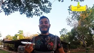 #1 Me apresentando - Cavalo perdido - Me perdendo na selva - Agrofloresta
