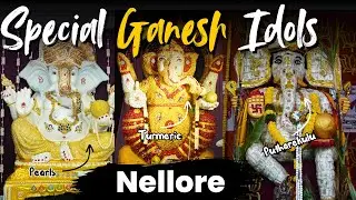 Special Ganesh Idols in Nellore 2024 | Vinayaka Chavithi 2024