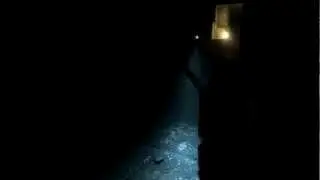 Bourbon freaks out.