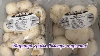 Мариную грибы. Быстро и просто! Германия/ Поздние Переселенцы