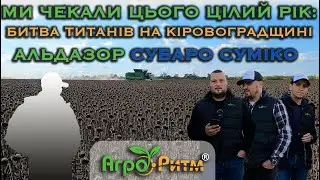 🌻АЛЬДАЗОР|СУБАРО|СУМІКО.НА ПОЛЯХ ЛІДЕРІВ КІРОВОГРАДЩИНИ.❗️НЕ ДЕМО❗️