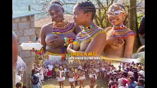 African Culture | The Zulu Reed Dance | Zulu Girls | Culture Dance Indlamu