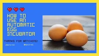 How to use egg incubator fully automatic？