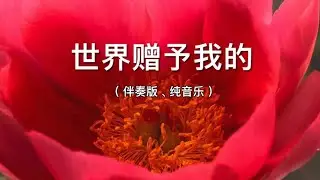 《世界赠予我的》（伴奏版、纯音乐）