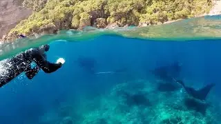 Manta Diving Nusa Penida with Bali Fun Diving