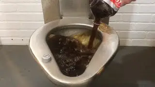 Diet Coke 2 Liter Vs Prison Toilet - Will it Flush?