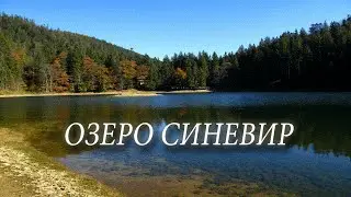 Lake SYNEVIR in the Carpathian mountains.