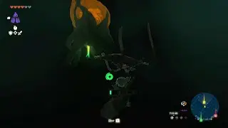 Zelda: Tears of the Kingdom - 12 - Lightroots
