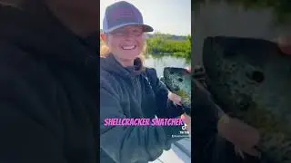 She’s the ultimate SNATCHUH!! Bye Bye #fishing #backstreetboys  #shellcracker #bassfishingnation