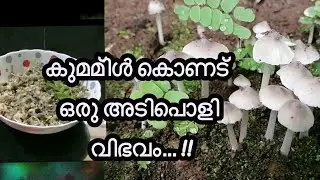 Mushroom /കുമ്മിൾ മെഴുക്കുപുരട്ടി ഇങ്ങനെ ഒന്ന് തയ്യാറാക്കി നോക്കൂ... !! Hot Food By Saju