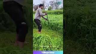 This Grass Cutting ASMR is My New Zen! 🙏 So Satisfying! 