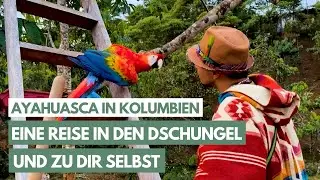 Ayahuasca in Kolumbien: Eine Reise in den Dschungel und zu dir selbst