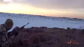 Wolf Hunting in the mountain. Kazakhstan. Охота на волка в горах Казахстана.