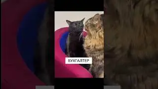 Самая дешевая система налогообложения⤵️