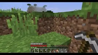 The Nether (Minecraft Survival #2)