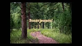 Forêt bonne journée !
