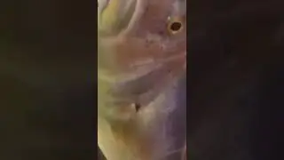 28 Kasım 2021