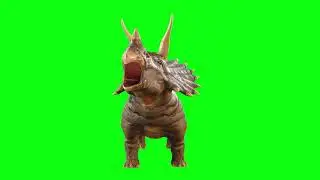 Dynasore green screen )(green screen gen