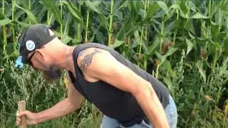 King Foo Farm Gig