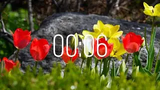 6 Second Timer with Music | Spring Timer🌹