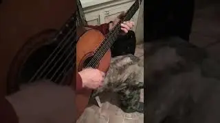 Высоцкий Серебрянные родники