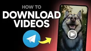 How to Download Videos from Telegram (Step by Step)