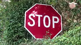 ROAD SIGNS GALORE 5! Do you know what the road signs mean?