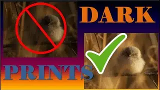 How to FIX DARK PRINTS and Why do we get them