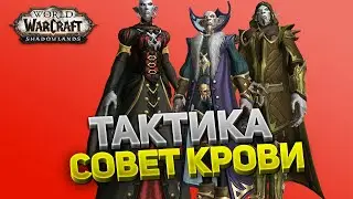 Совет Крови ⚔️ Замок Нафрия 🏰 Тактика нормал и героик 💀 World of Warcraft: Shadowlands