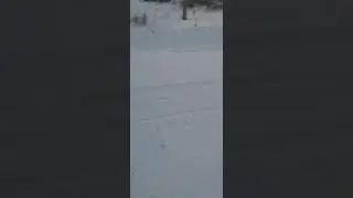 Вот что происходит когда лыжники не посещают лыжню