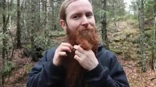 How to Braid a Beard