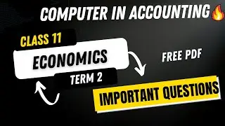 Class 11 Computer in Accounting Important Questions with Pdf
